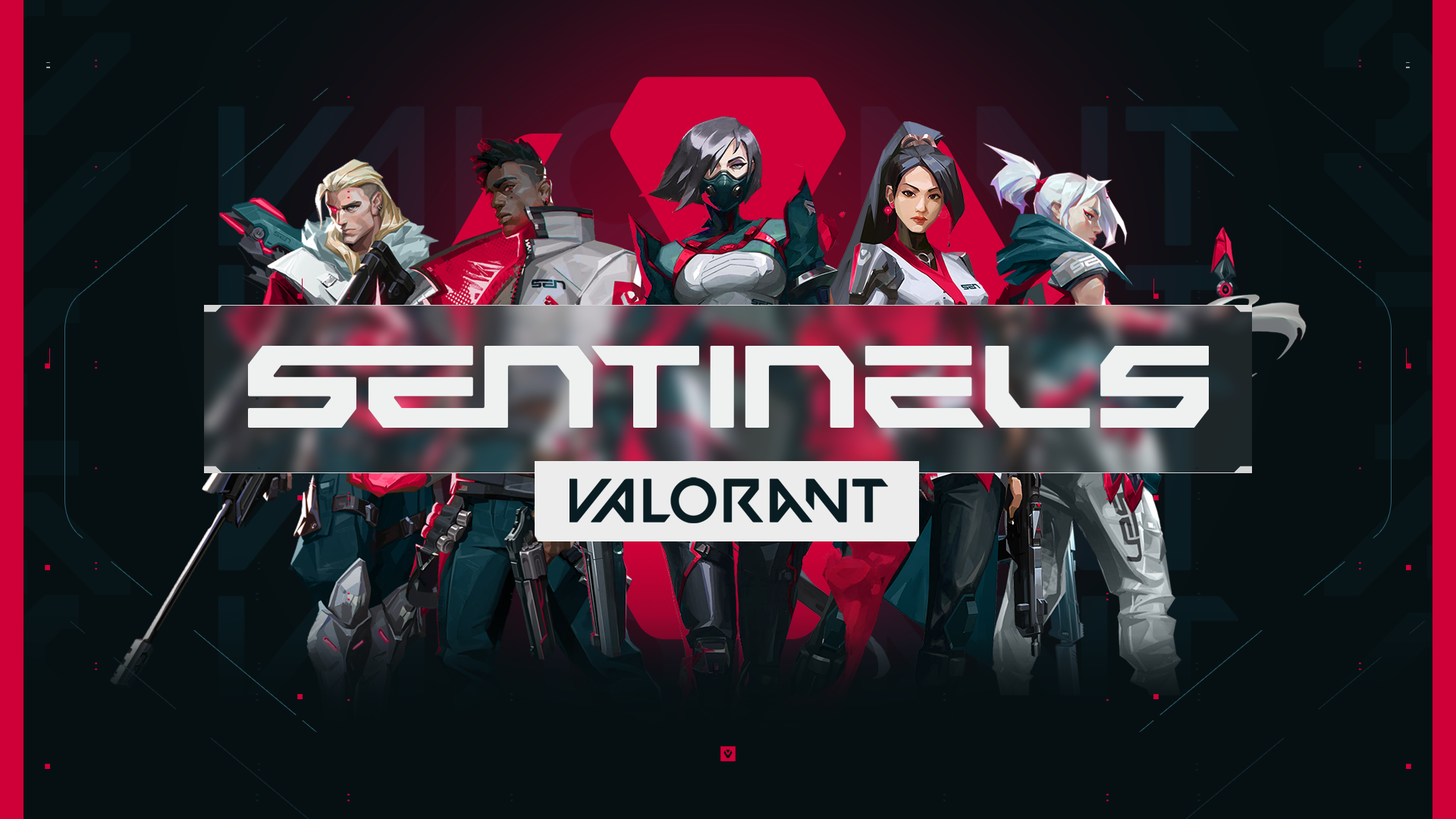 Sentinels reveal starstudded Valorant roster TRN Checkpoint