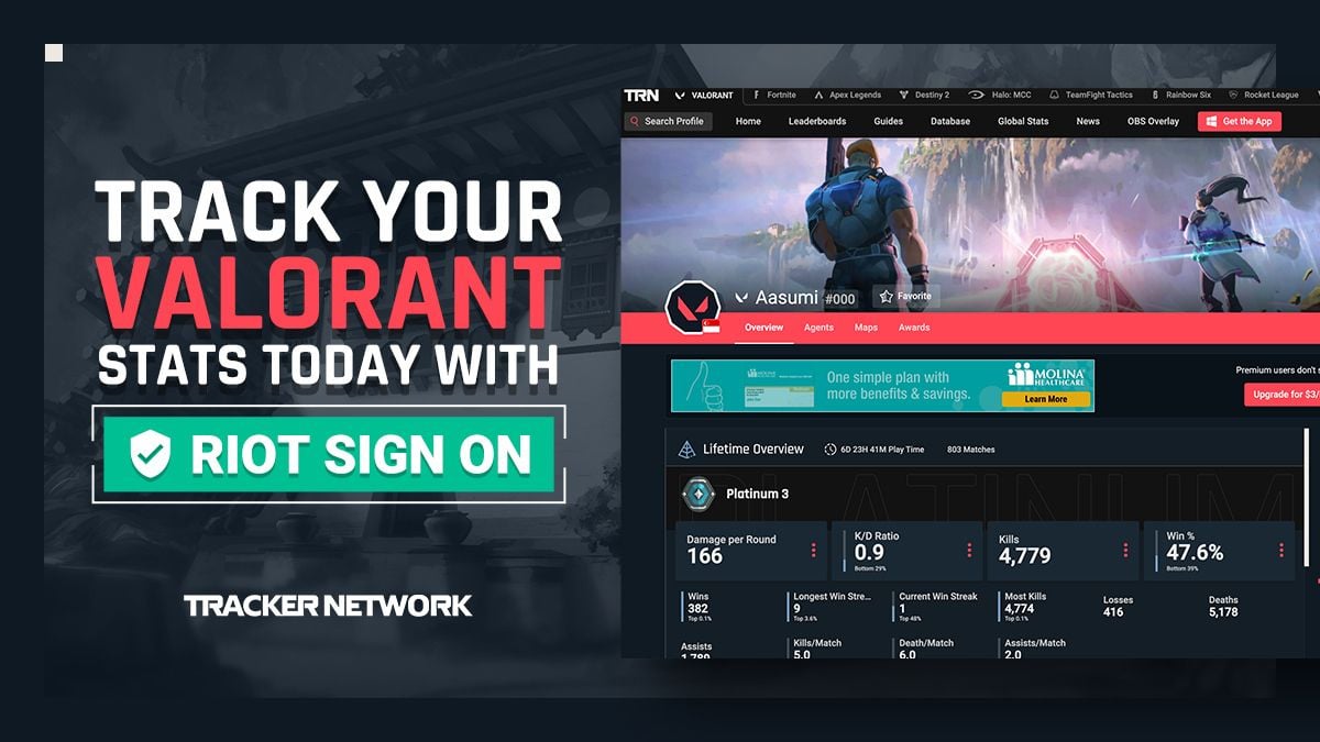 Get Your Valorant Stats With A Single Riot Login Today! Tracker Network