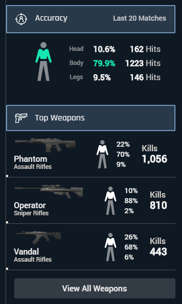 How to View Your Valorant Stats