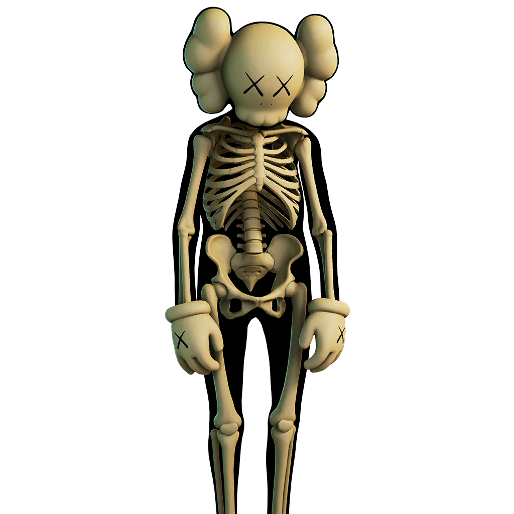 skin skeleton body